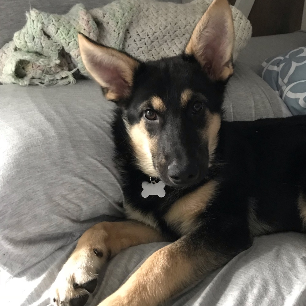 Meet your Posher, Hannah